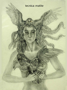 donna aquila
